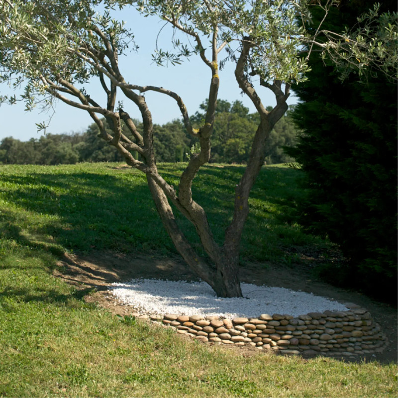 Gravillon Blanc Quartz 6/10 - Gravier Décoratif Brillant Jardin | Livraison Express