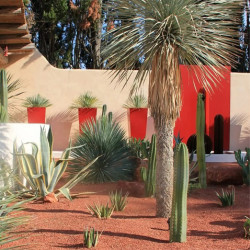 Gravillon Rouge Ghorr 6/14 - Gravier Décoratif Intense Jardin | Stock Disponible