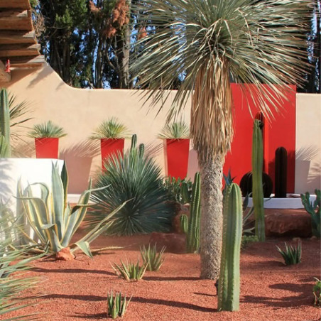 Gravillon Rouge Ghorr 6/14 - Gravier Décoratif Intense Jardin | Stock Disponible