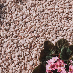 Galet Rose de Provence 10/20 - Galet Décoratif Français Jardin | Livraison Rapide