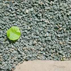 Gravillon Vert Marbre 8/16 - Gravier Décoratif Original Jardin | Stock Permanent