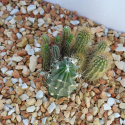Gravillon Riviera Marbre 8/12 - Gravier Décoratif Pastel Jardin | Stock Disponible