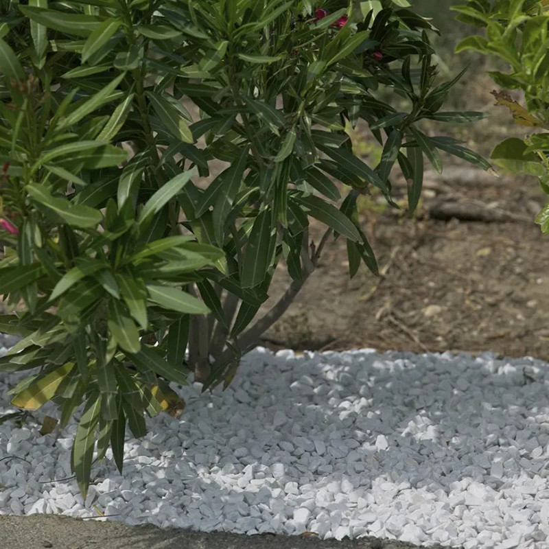 Gravillon Blanc Carrare 8/12 - Gravier Marbre Décoratif Jardin | Stock Disponible