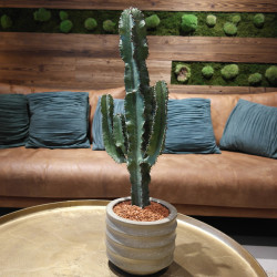 Brique Pilée 4/7 Berlingot 1kg - Paillage Terracotta Mini Pot | Livraison Express