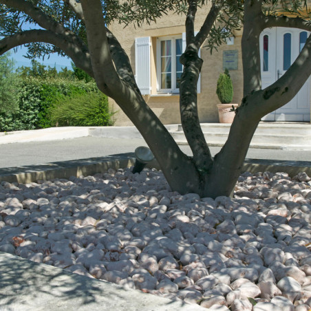Galet Rose de Vérone 60/40 - Galet Décoratif Italien Jardin | Livraison Rapide