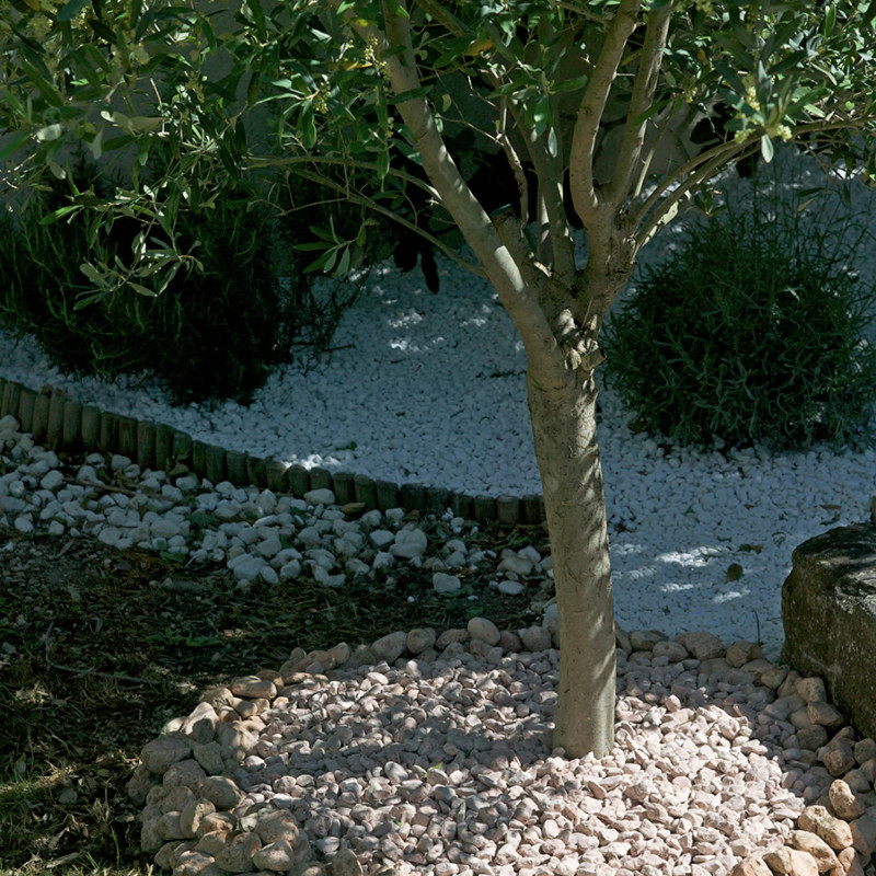 Galet Rose de Vérone 15/25 - Galet Décoratif Italien Fin Jardin | Livraison Rapide