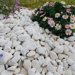 Galet Blanc de Provence 30/50 - Galet Décoratif Français Jardin | Livraison Rapide