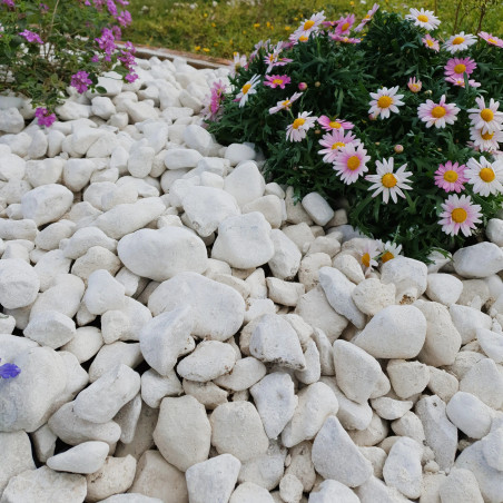 Galet Blanc de Provence 30/50 - Galet Décoratif Français Jardin | Livraison Rapide