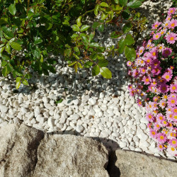 Galet Blanc de Provence 10/20 - Galet Décoratif Français Fin Jardin | Livraison Rapide