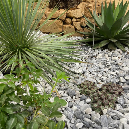 Galet Marbre Ice Blue 15/25 - Galet Décoratif Bleu Blanc Fin Jardin | Livraison Rapide