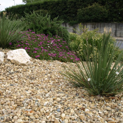 Gravillon Roulé Jaune 8/16 - Gravier Décoratif Doré Jardin | Livraison Rapide