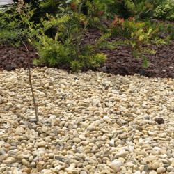 Gravillon Roulé Jaune 8/16 - Gravier Décoratif Doré Jardin | Livraison Rapide
