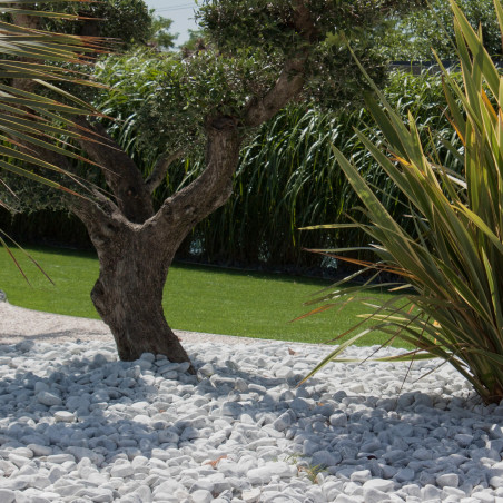 Galet Blanc Carrare 60/100 - Galet Décoratif Marbre Très Gros Jardin | Livraison Rapide