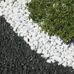 Galet Blanc Carrare 25/40 - Galet Décoratif Marbre Moyen Jardin | Livraison Rapide