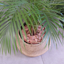 Galet Brique 20/40 - Sac 10L Paillage Terre Cuite Structurant