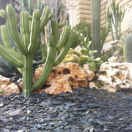 Ardoise Noire 30/70 - Paillage Ardoise Graphique Jardin | Livraison Rapide