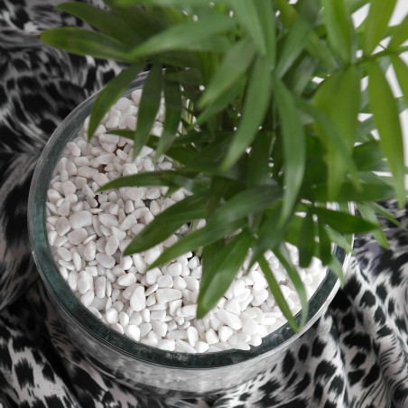 Galet Blanc Carrare 4/8 - Sac 5L pour Balcon et Terrasse