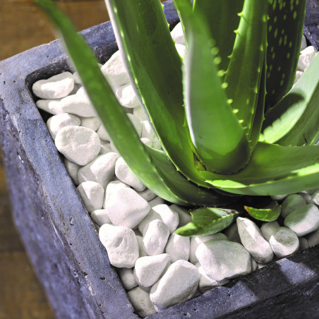 Galet Blanc Carrare 7/15 - Galet Décoratif Marbre Jardin | Livraison Rapide