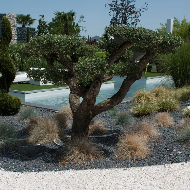 Lot gravillon noir marbre 8/12 mm | 4×25 kg pour jardinière et terrasse