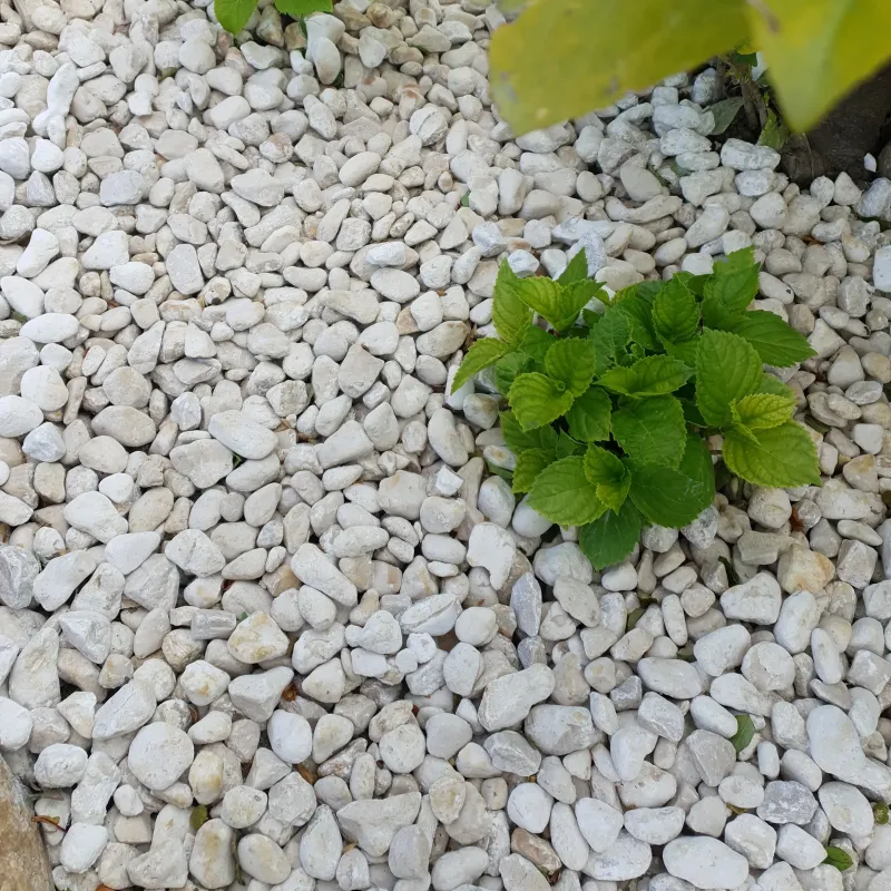 Lot 4×25 kg galet Blanc de Provence 10/20 | Paillage calcaire doux pour terrasse et loggia