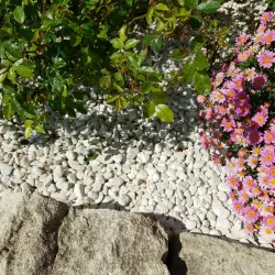 Lot 4×25 kg galet Blanc de Provence 10/20 | Paillage calcaire doux pour terrasse et loggia
