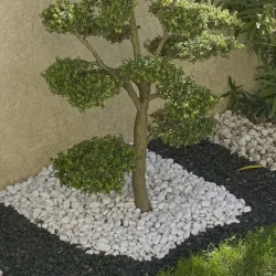 Lot Galet Roulé Blanc Carrare 25/40 | 4 x 25 kg Marbre Déco Jardin