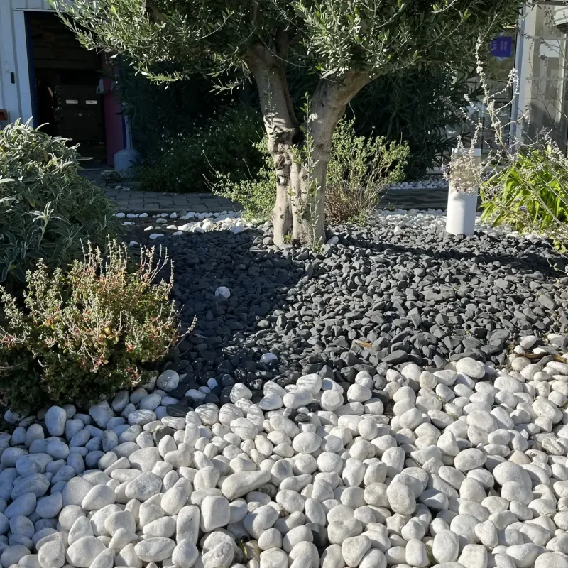 Lot Galet Roulé Blanc Carrare 25/40 | 4 x 25 kg Marbre Déco Jardin