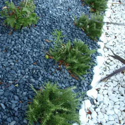 Lot Galet Roulé Noir Ebano 15/25 | 4 x 25 kg Déco Jardin Design