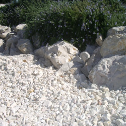 Balaste Blanc Carrare 50/70 - Gravier Marbre Décoratif Jardin | Stock Permanent