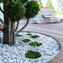Balaste Blanc Carrare 50/70 - Gravier Marbre Décoratif Jardin | Stock Permanent