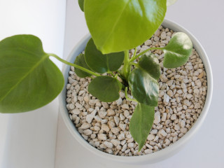 Poser du gravier sur un balcon ou une terrasse sans travaux : guide complet