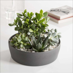Décoration intérieure naturelle et sans entretien : pourquoi choisir galets et graviers ?