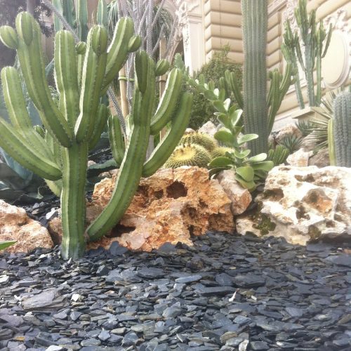 ardoise noire 30/70 en paillage de grand bac de terrasse