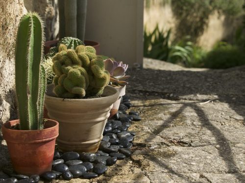 épaisseur de paillage minéral dans une jardinière de balcon