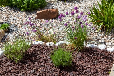 Créer un jardin sec : minimalisme et élégance avec des graviers