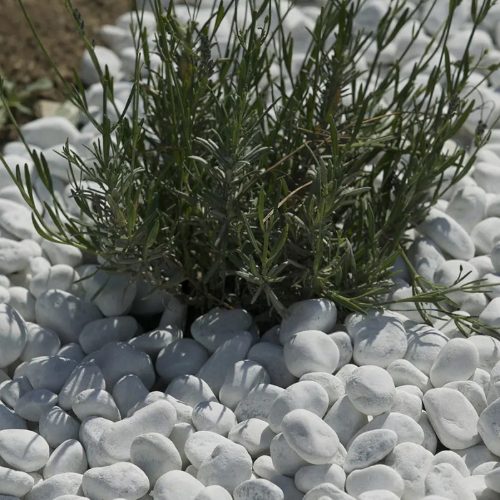 quantité de galets pour remplir un vase un pot ou une coupe