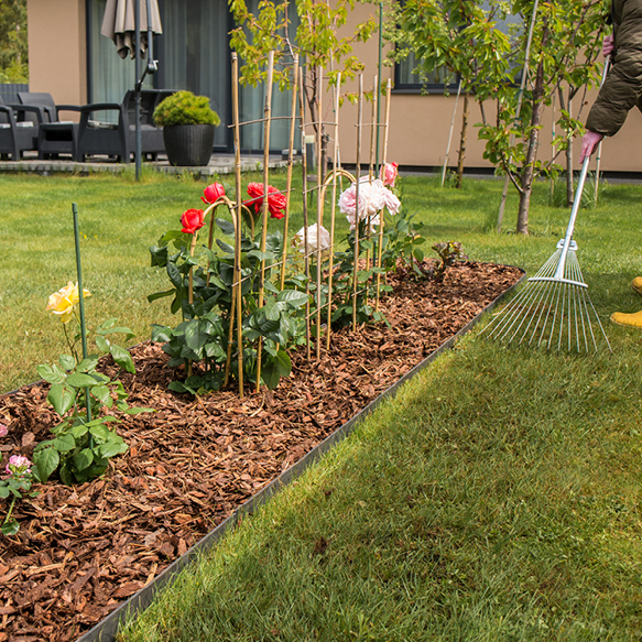 Potager & jardin